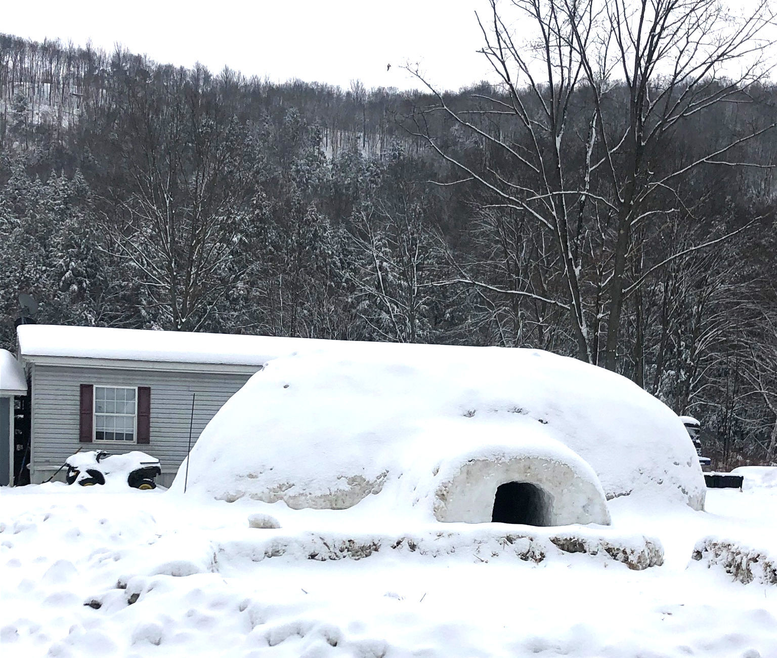 GLEN RICHEY IGLOO